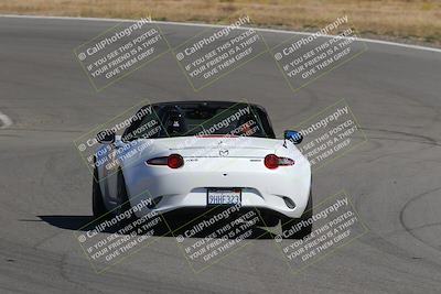 media/Nov-03-2023-Club Racer Events (Fri) [[fd9eff64e3]]/Yellow/Back Shots/